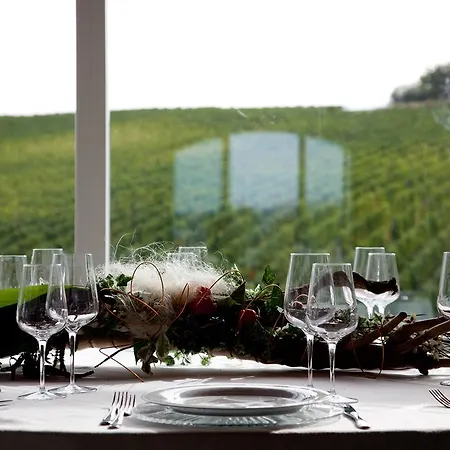 Antico Casale Delle Vigne Gasthof *
