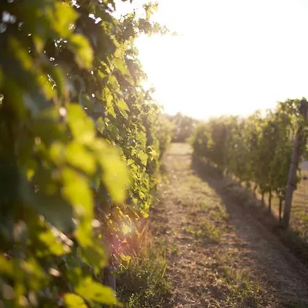 Antico Casale Delle Vigne *