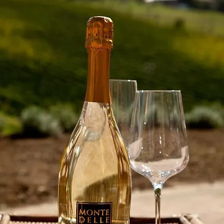 Maison d'hôtes Antico Casale Delle Vigne *