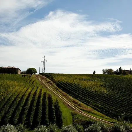 Antico Casale Delle Vigne Maison d'hôtes Fornoue